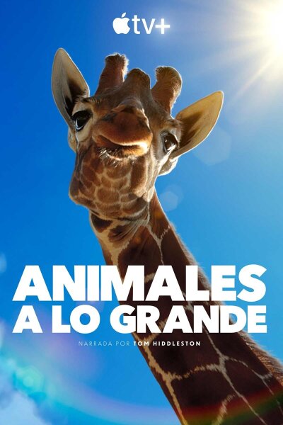 Animales a lo grande T1