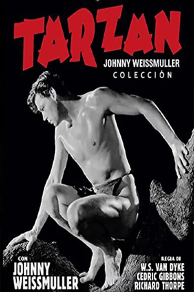 Tarzan Johnny Weissmuller (1939-1941-1942) DVDrip avi