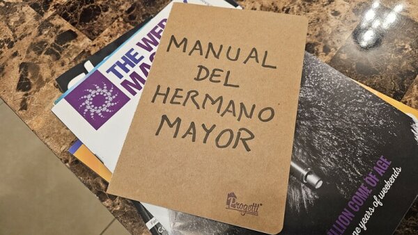 El Manual del Hermano Mayor BDrip XviD Latino