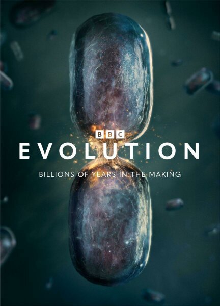 Evolution T1